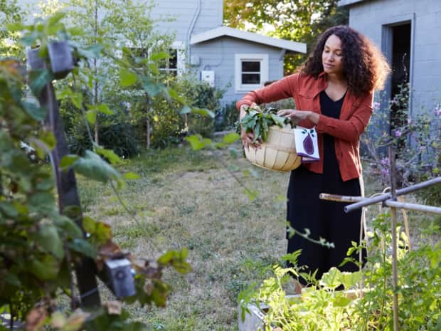 Woman holding basket of vegetables in garden