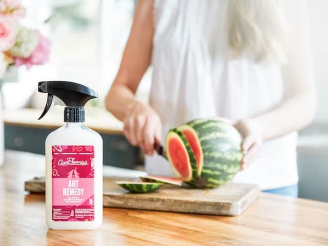 Aunt Fannie's ant remedy on top of counter by a woman cutting watermelon