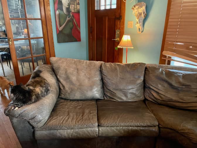 A leather couch after it's been scrubbed and cleaned.
