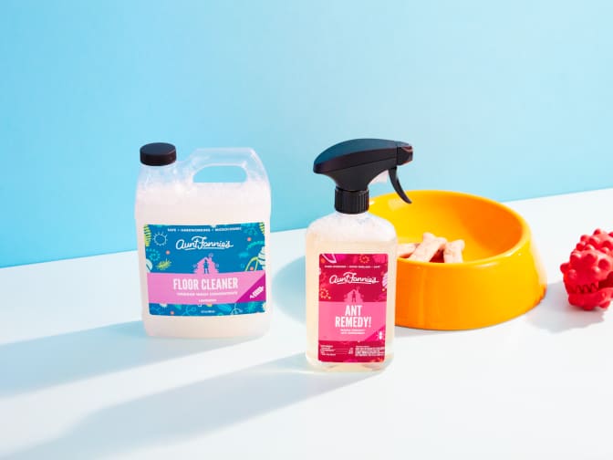 Image of Aunt Fannie's ant remedy & floor cleaner next to dog bowl with biscuits