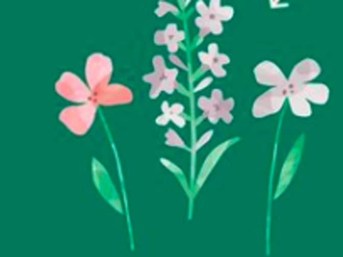 Illustration of 3 flowers