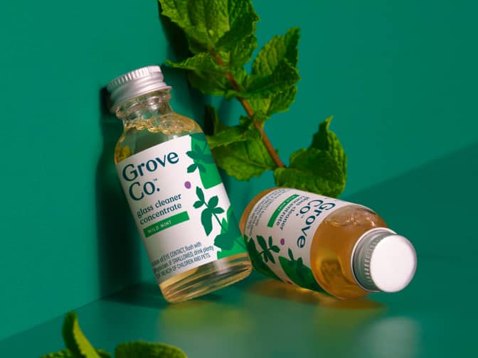 Concentrate bottles lying on a background of fresh lemon slices and eucalyptus leaves
