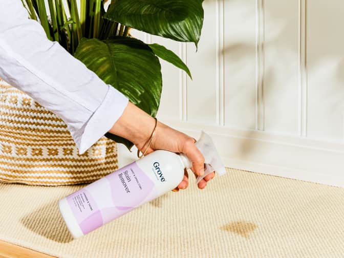 Person holding a natural stain remover working on a coffee stain in the carpet.