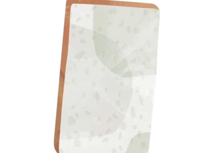 Illustration of a sponge.