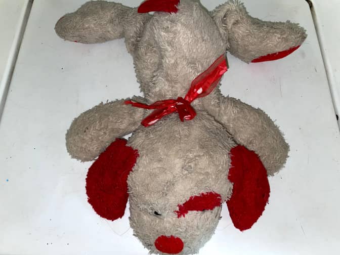 Photo of dirty dog stuffed animal