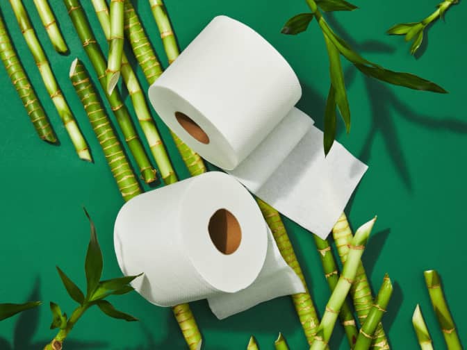 Two rolls of Grove Co. tree free paper laying on a green surface with bamboo scattered around them.