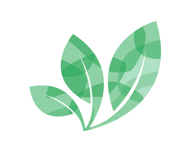 Illustration of 3 leaves.
