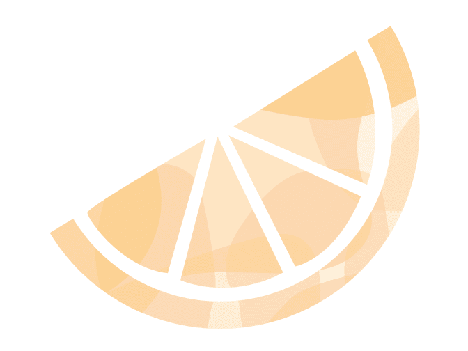 Orange slice illustration