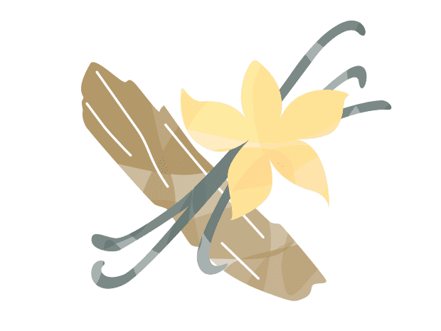 Vanilla and wood illustration