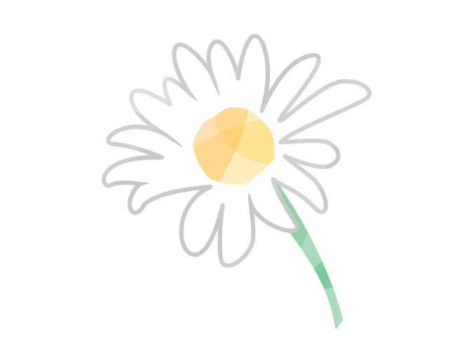 Illustration of a chamomile flower