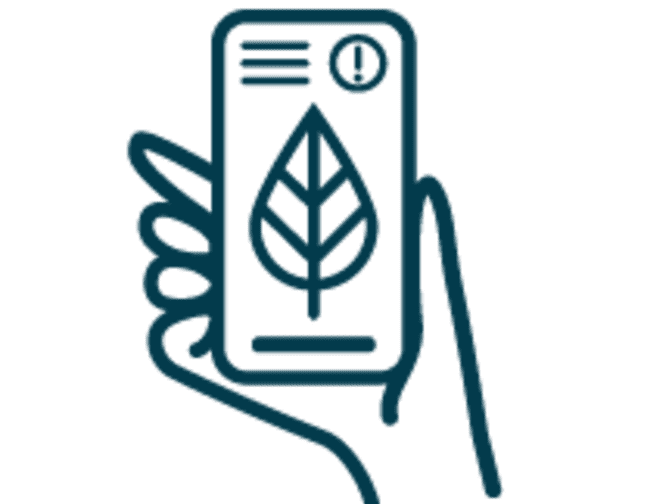 Illustration of a hand holding a phone with a leaf on the screen