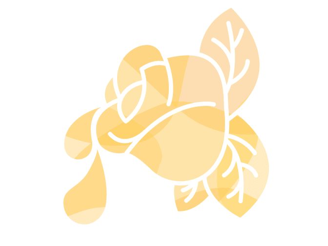 Yellow rose with dew drop illustration
