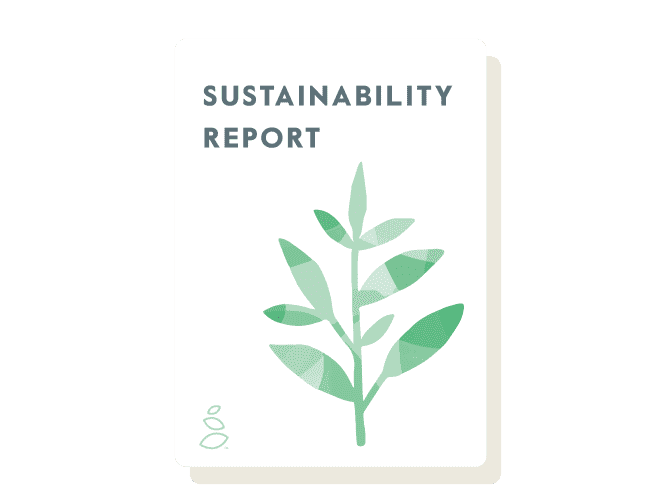 Illustration of a tree branch on a card that says "sustainability report"